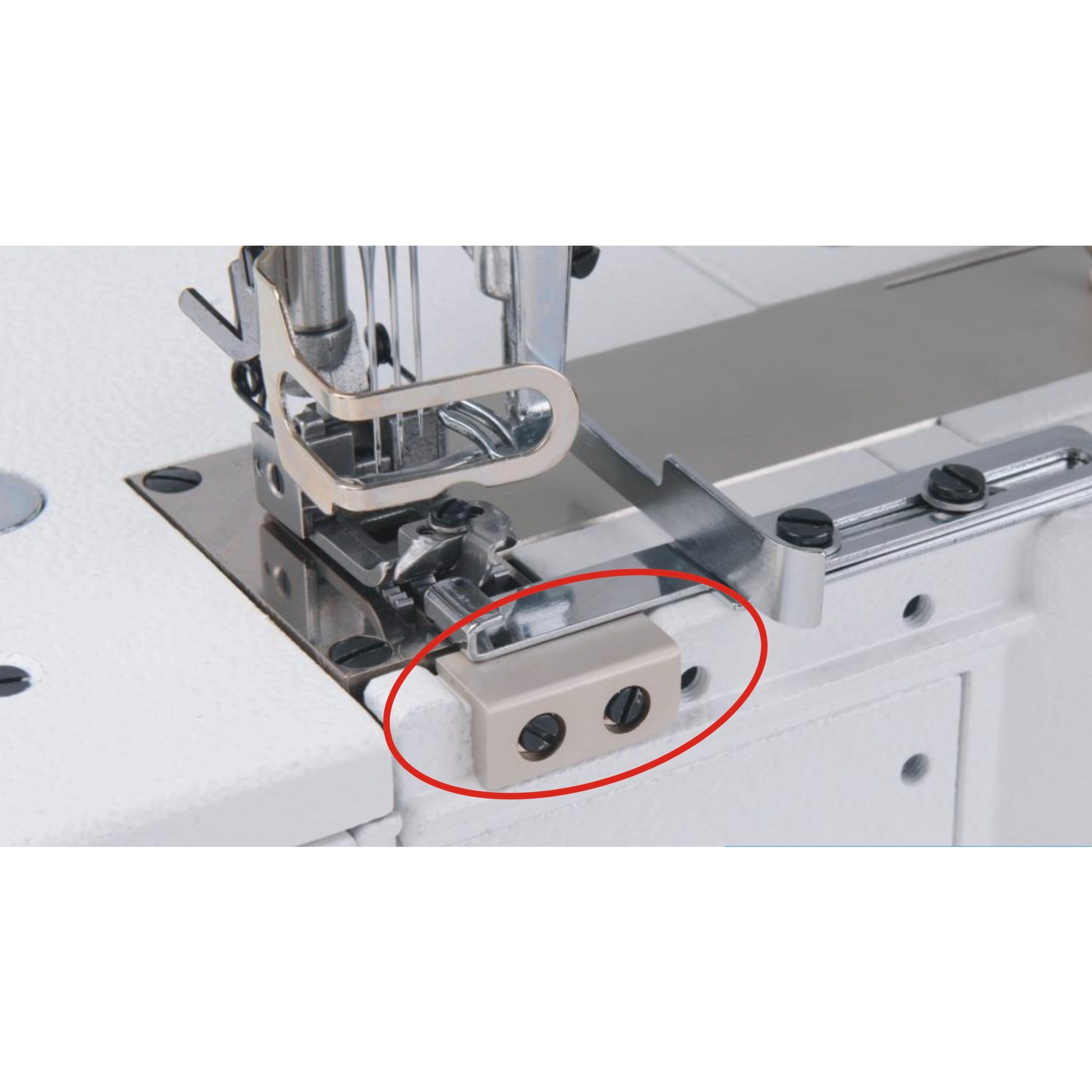 JACK W4S UT 01GB X 364 image 8